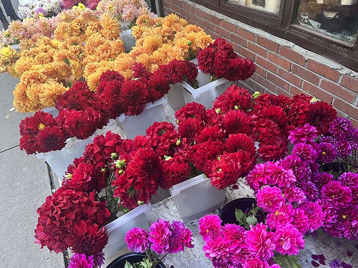 NYC HISTORIC FLORAL DISTRICT MUSEUM