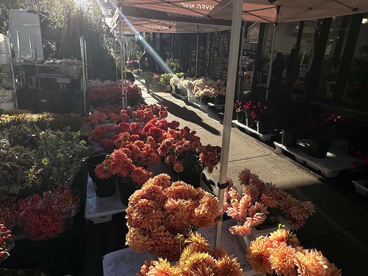 NYC HISTORIC FLORAL DISTRICT MUSEUM