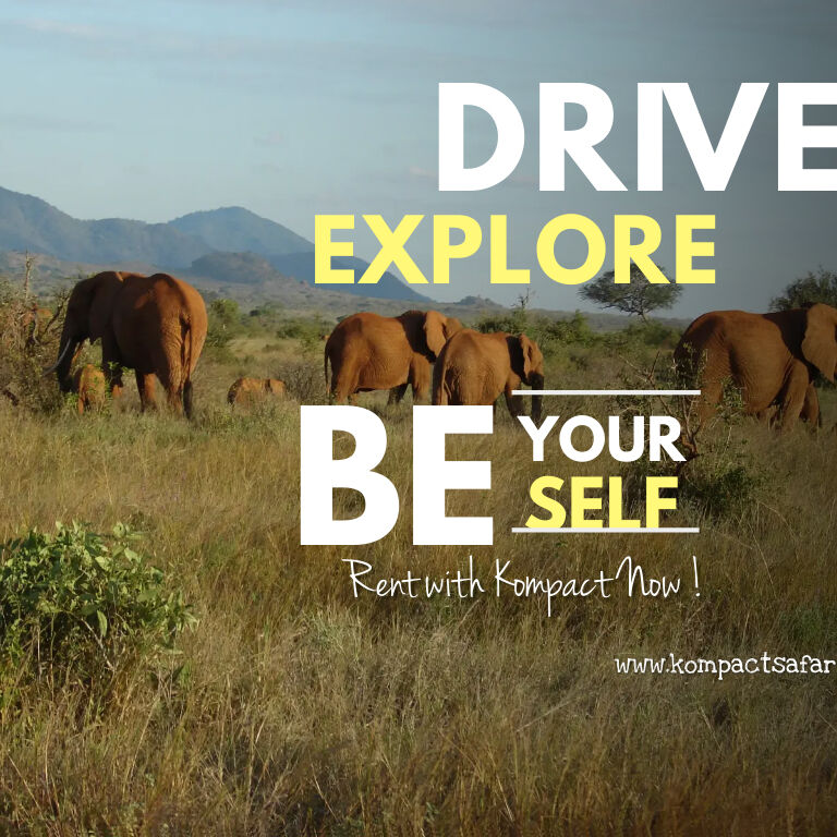 Compact Safaris
