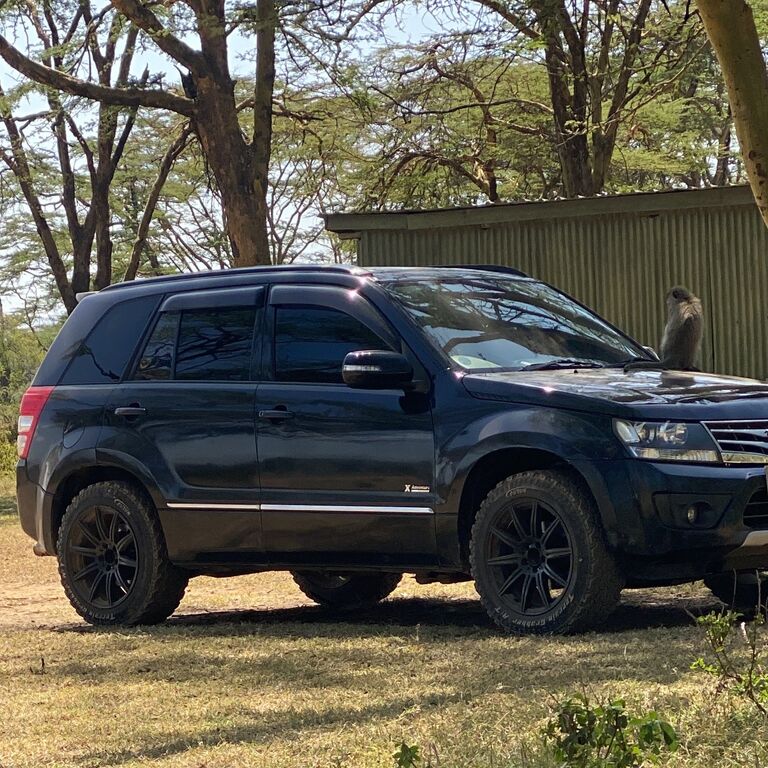 Compact Safaris
