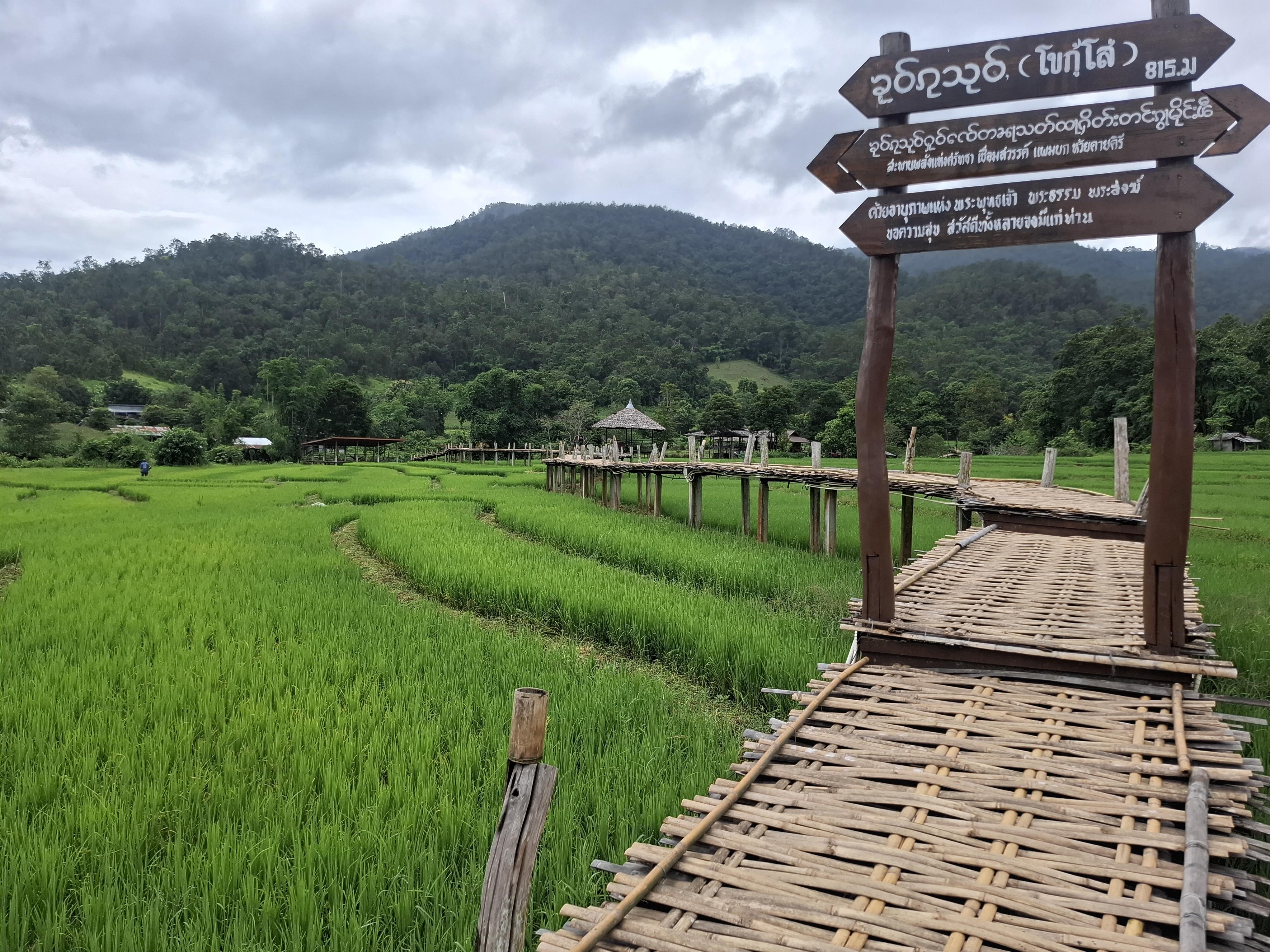 The travel view tours