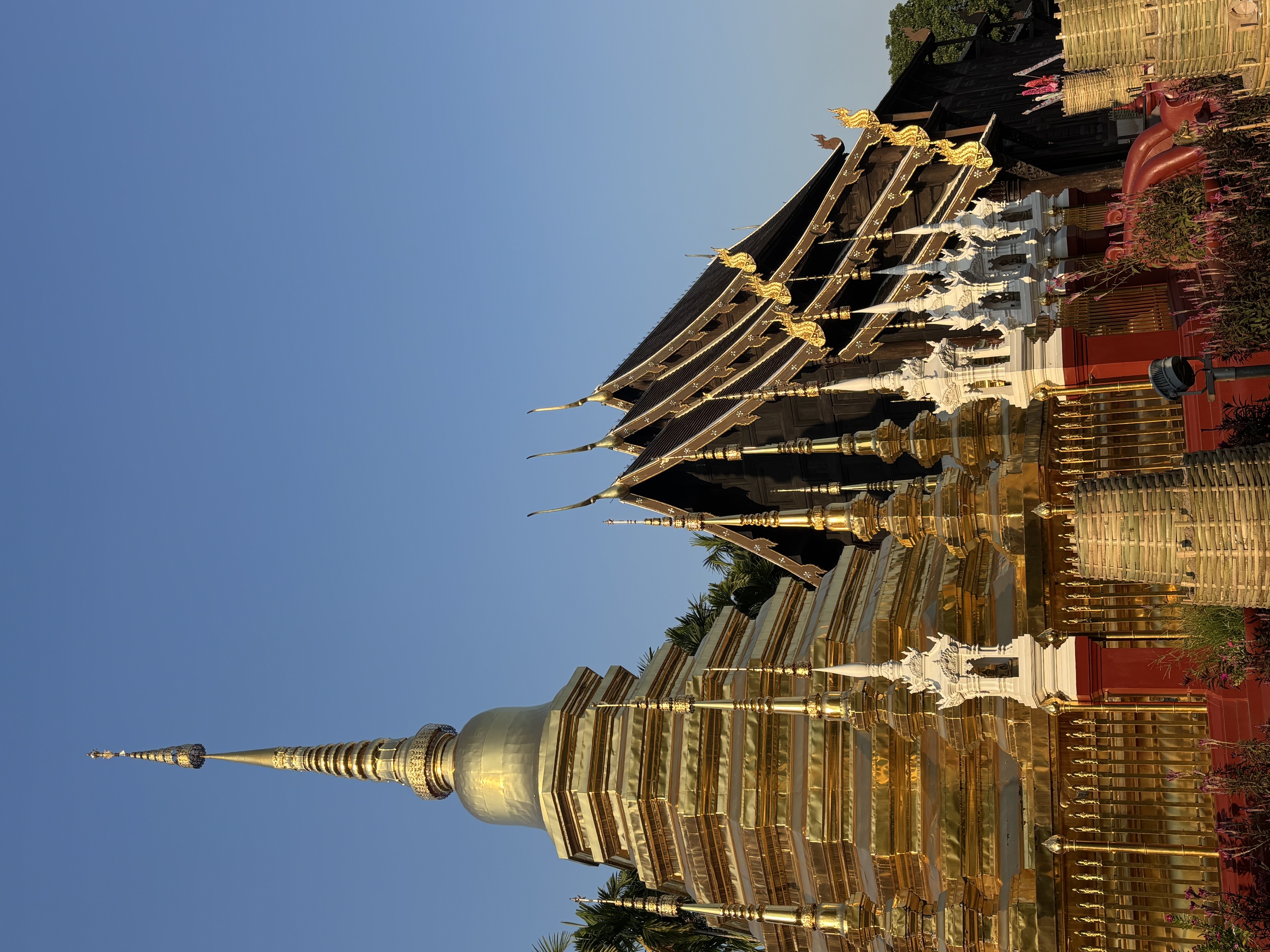 The travel view tours