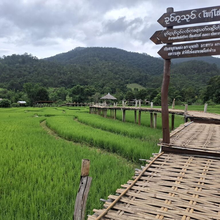 The travel view tours