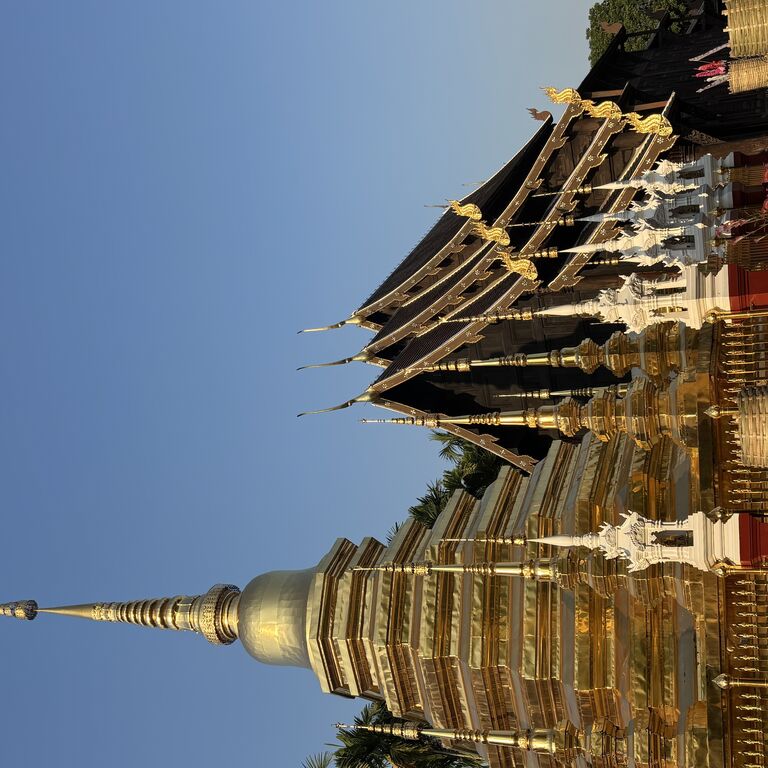 The travel view tours