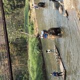 The travel view tours