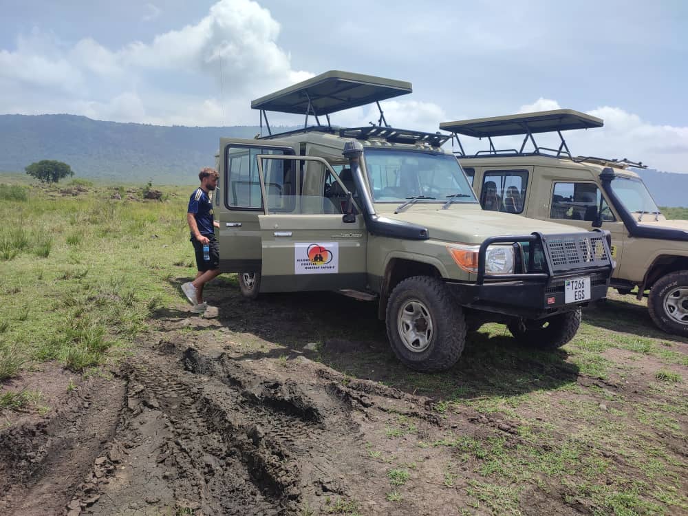 Acho Safaris
