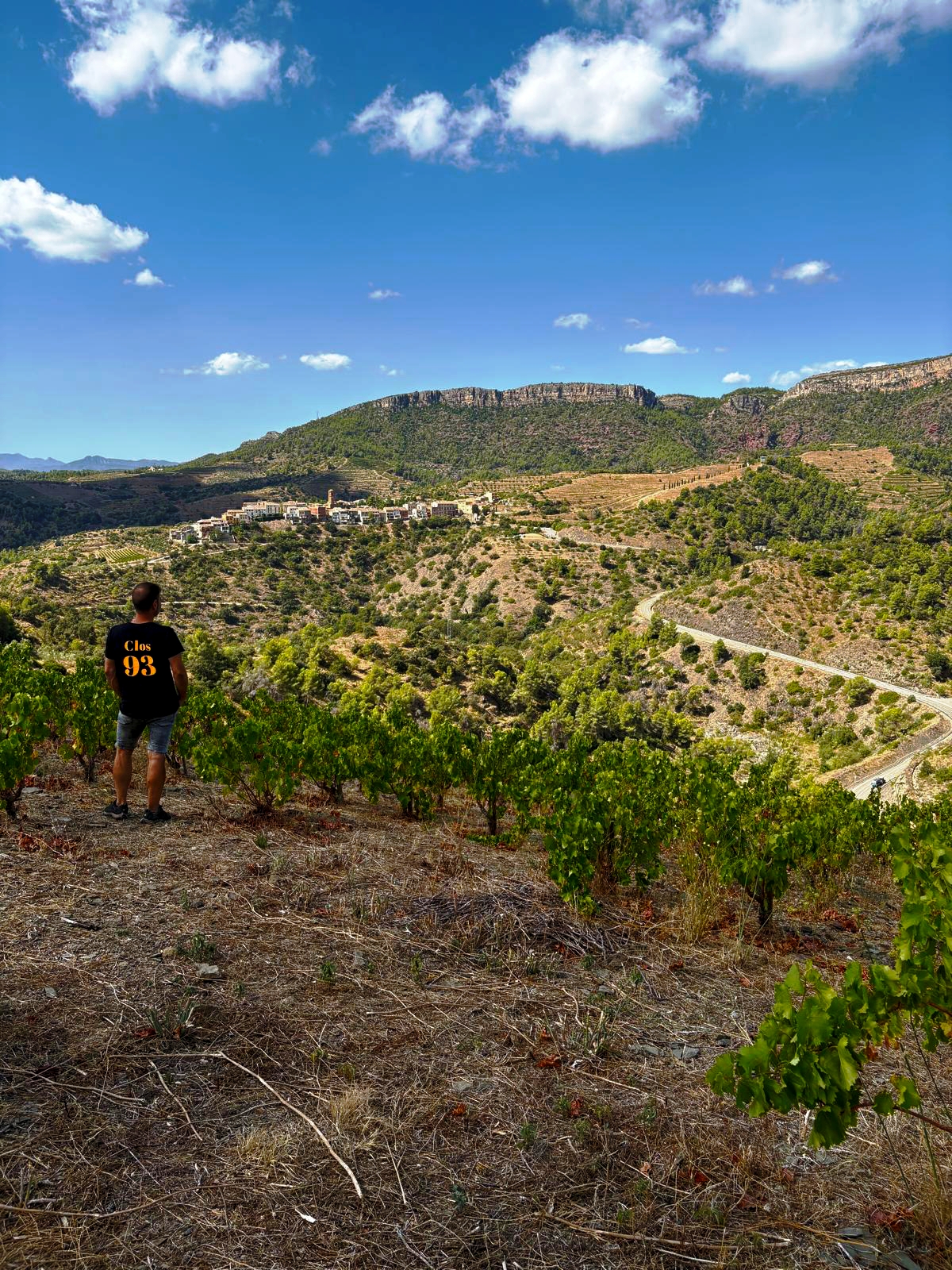 CELLER CLOS93 PRIORAT S.L