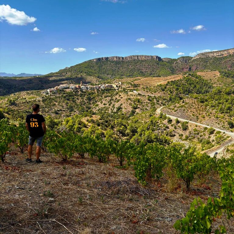 CELLER CLOS93 PRIORAT S.L