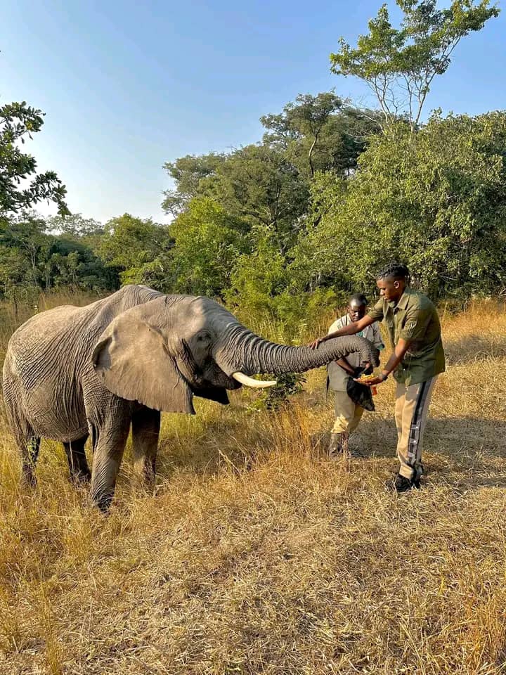 Eco Essentials company Pty ltd