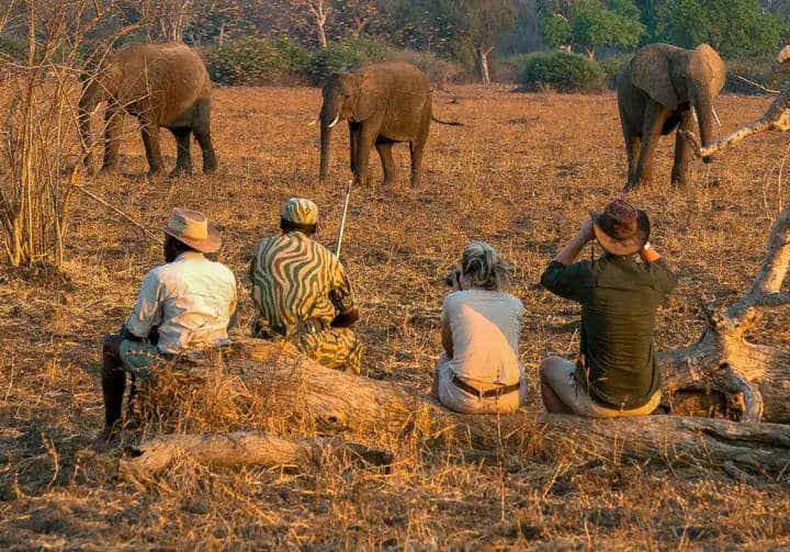 Eco Essentials company Pty ltd