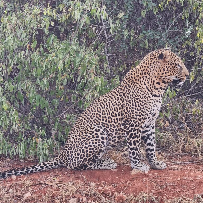 Zimbatourandsafariskenya