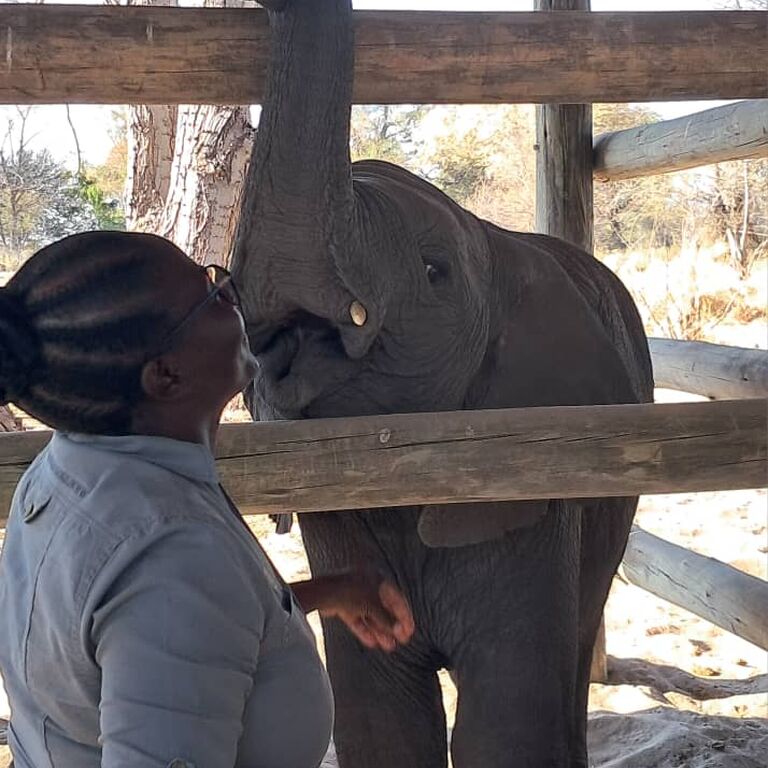 Zanazi Safaris