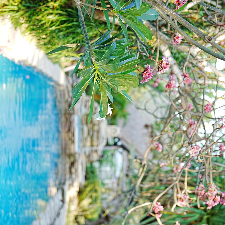 Dolcemare Resort