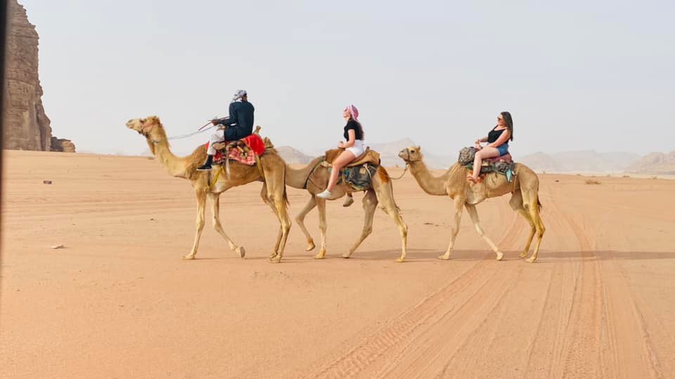 peace bird travel and tourism