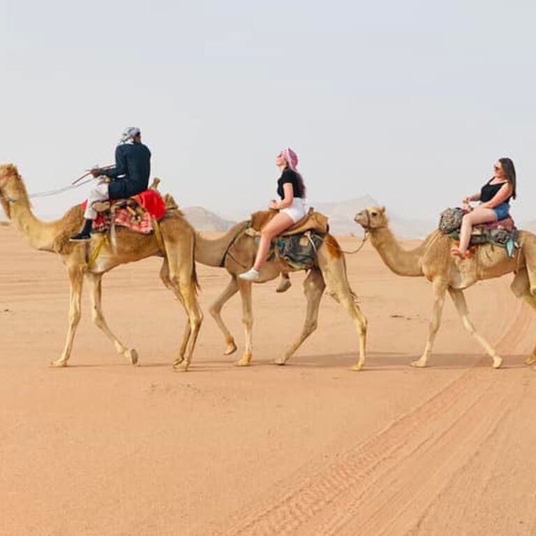 peace bird travel and tourism