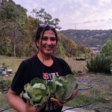 Kasauli Nature Walks