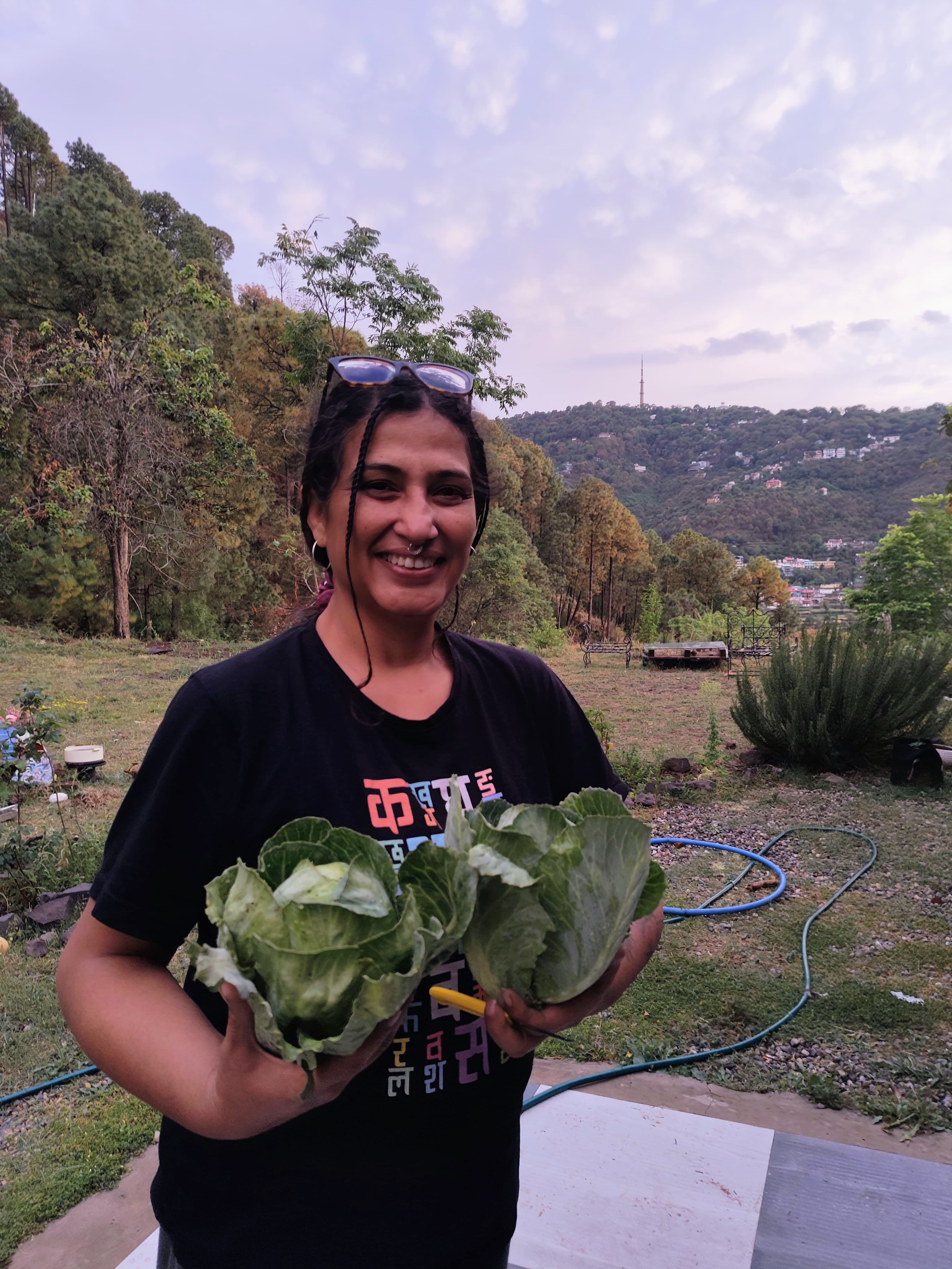 Kasauli Nature Walks