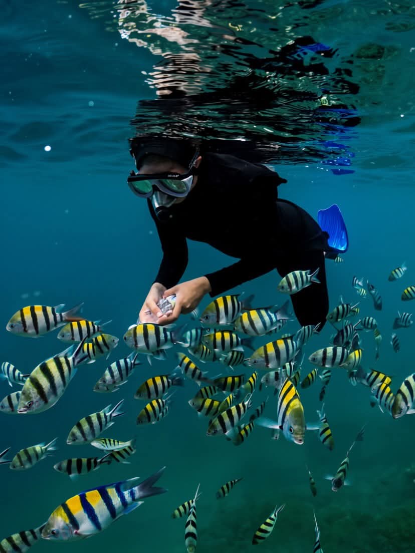 TETEBATU TRANSPORT