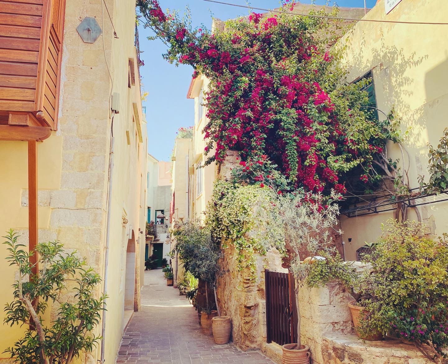 BONNIE AND CLYDE URBAN TOURS