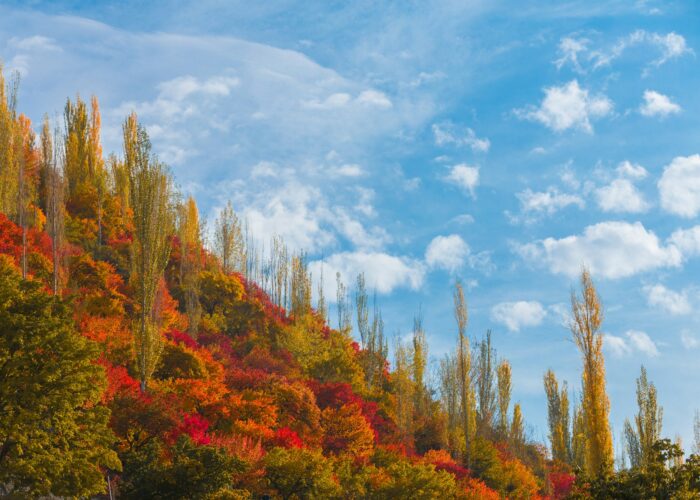 Pamir Crest Adventure Tours