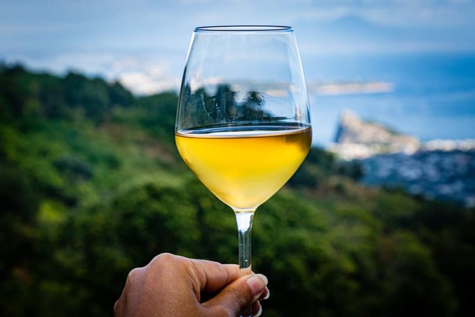 TENUTA DEL CANNAVALE ISCHIA