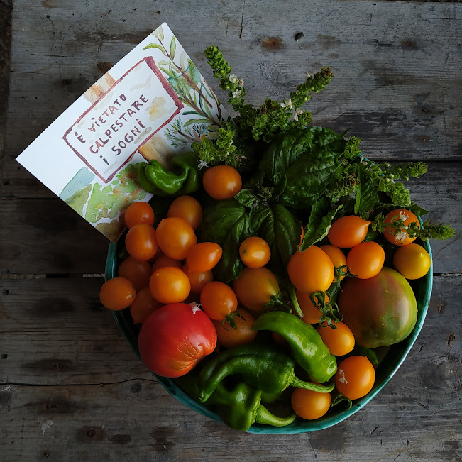 TENUTA DEL CANNAVALE ISCHIA