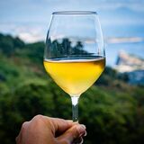 TENUTA DEL CANNAVALE ISCHIA