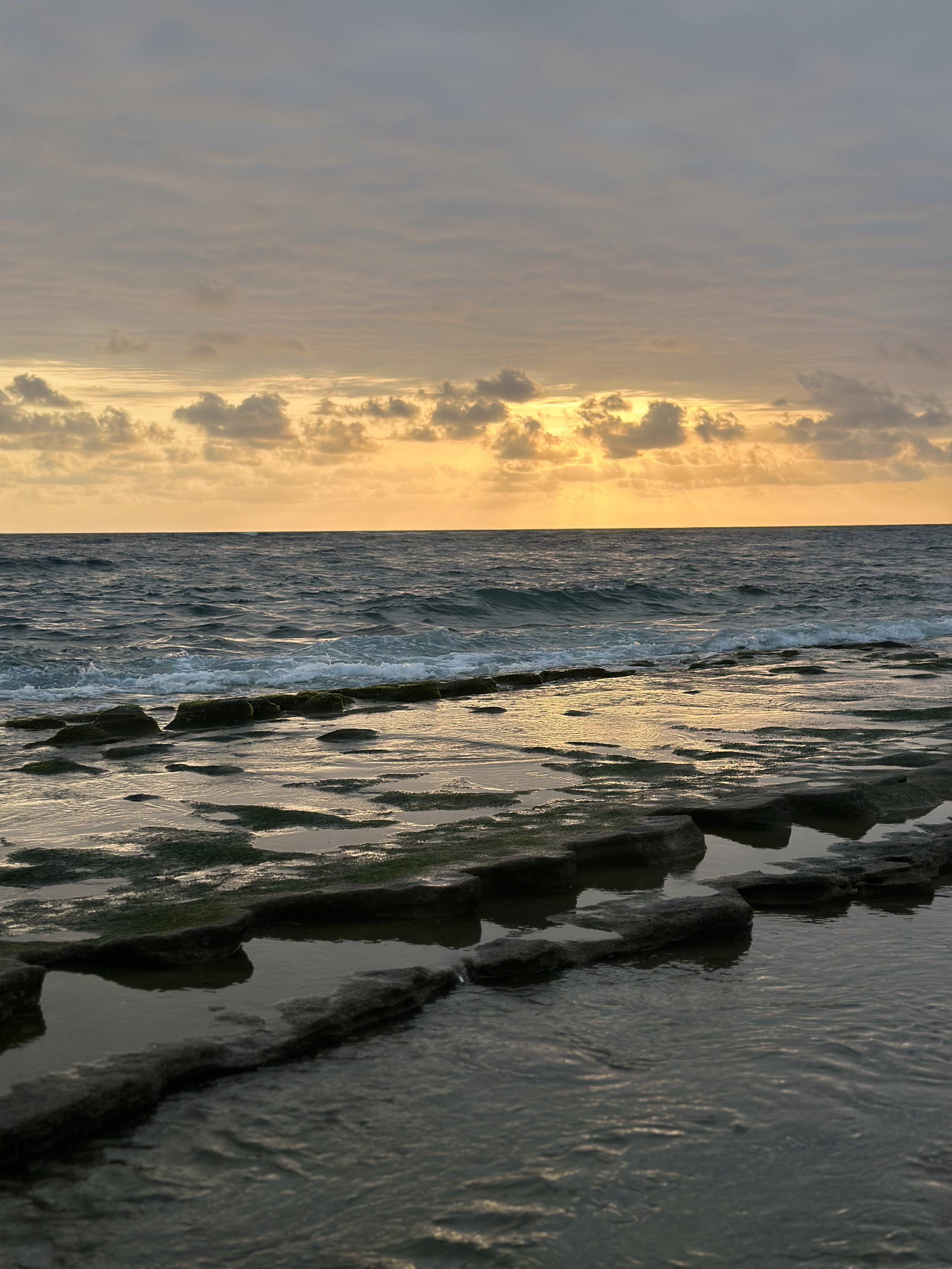 Sattva Yoga retreat hotel