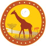Irresistible Safaris limited