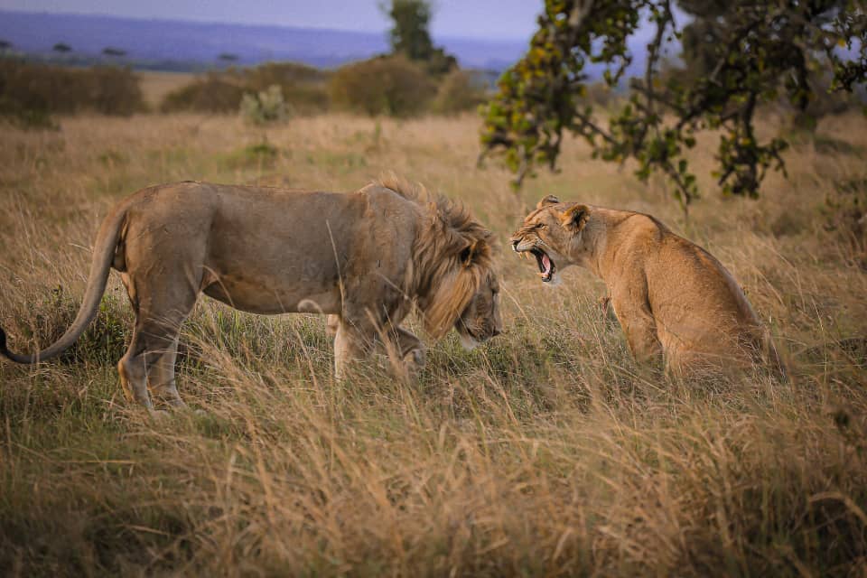 Heavenly Wonders Safaris ltd
