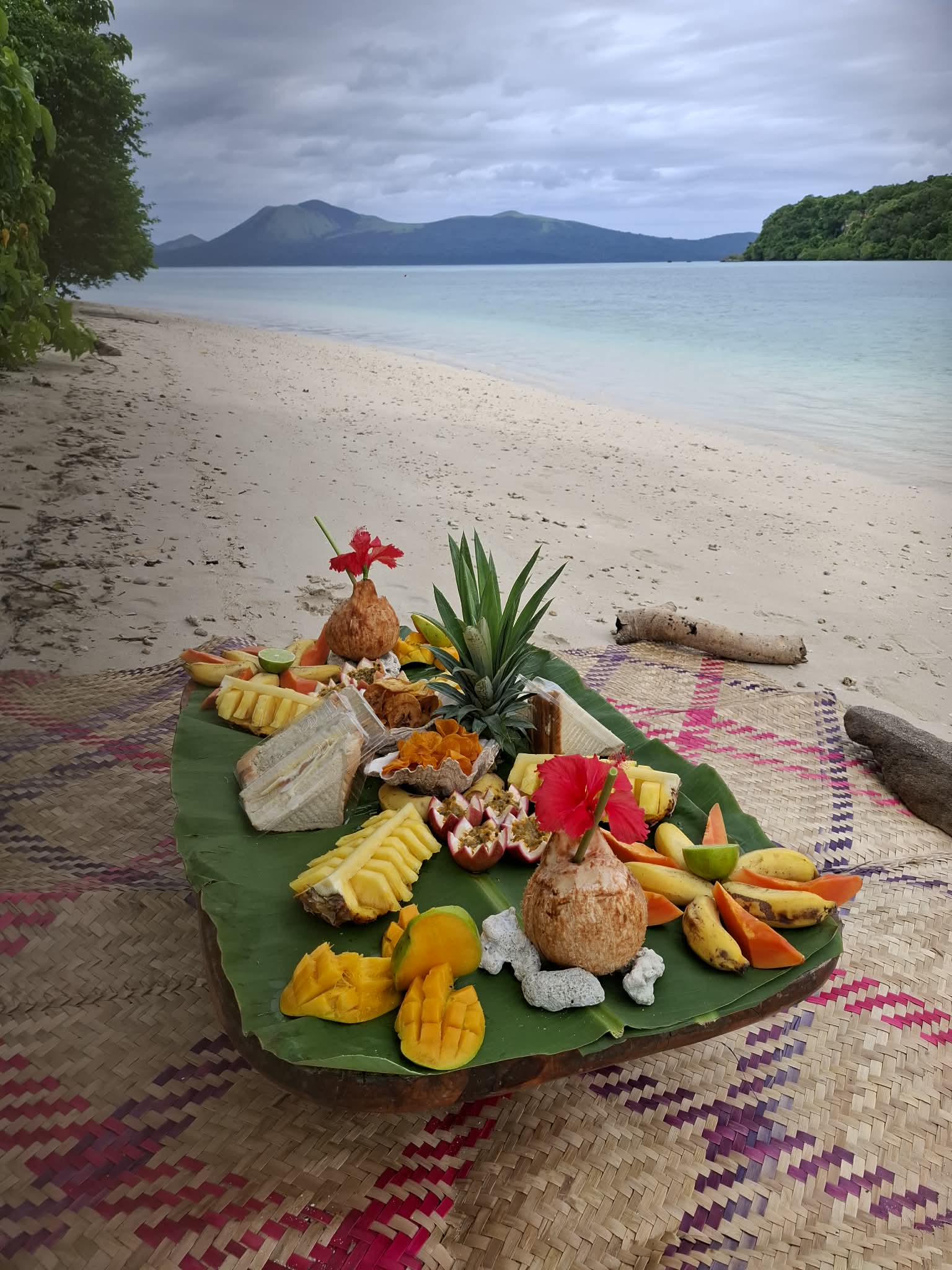 Blue Express Vila Tours & Tran