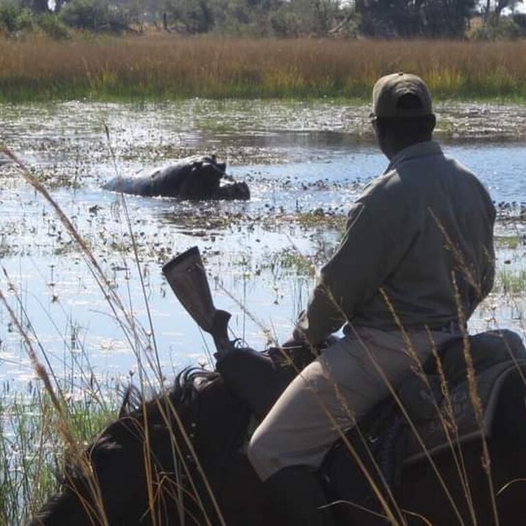 Sense of Nature Safaris