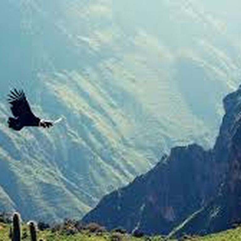 COLCA FULLDAY TOUR FROM AREQUIPA