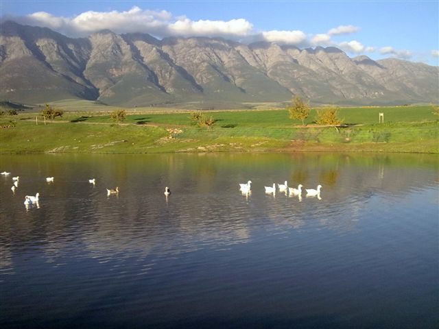 Eikelaan Farm Cottages