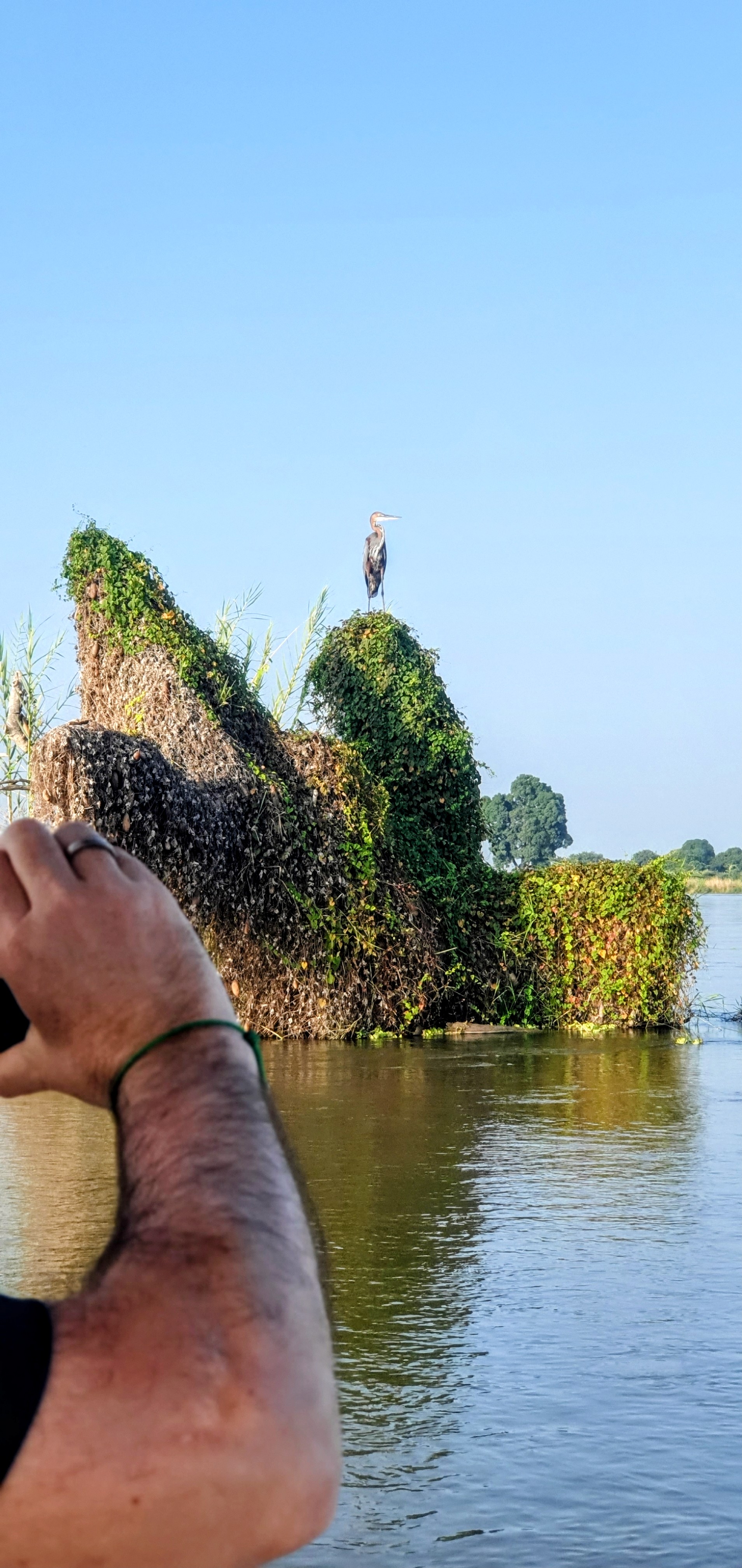 KiliMzwa Tours & Expeditions