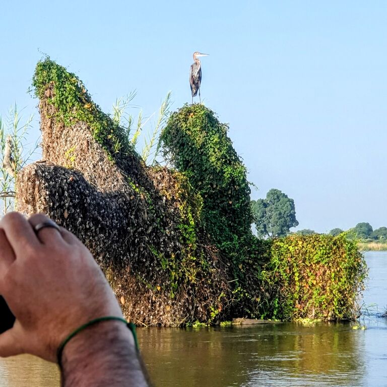 KiliMzwa Tours & Expeditions