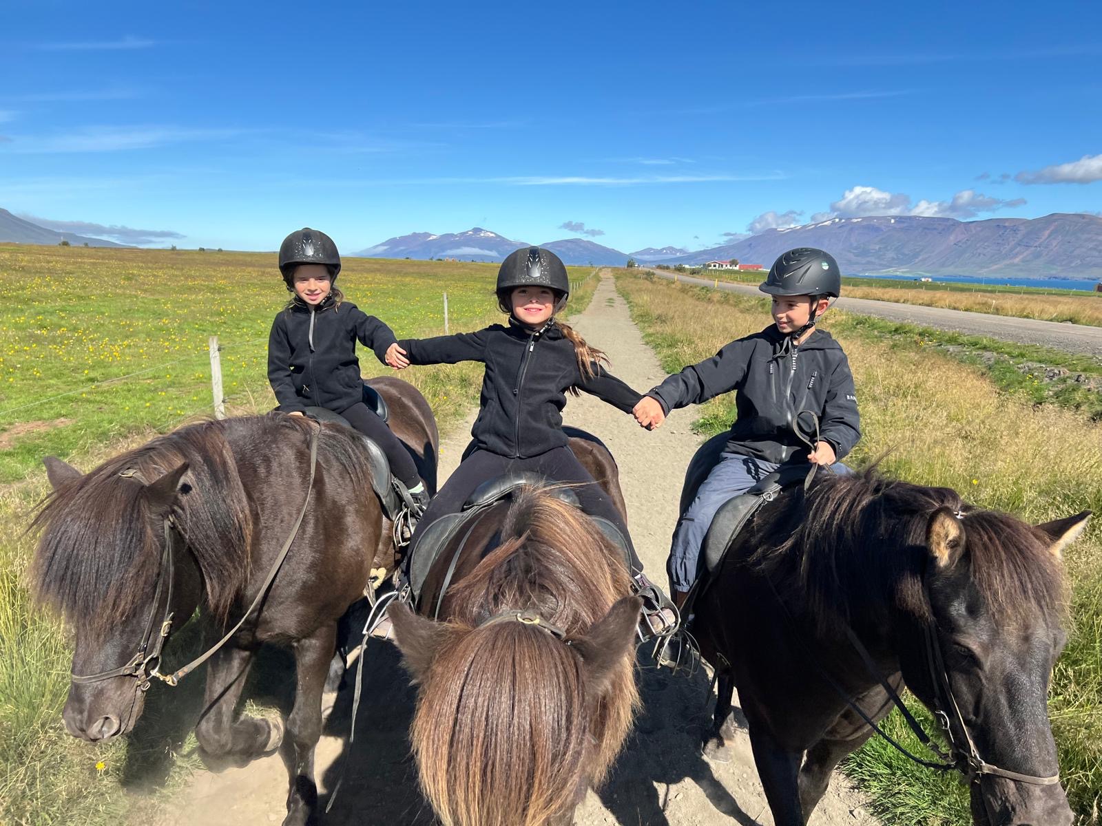 Akureyriridingtours