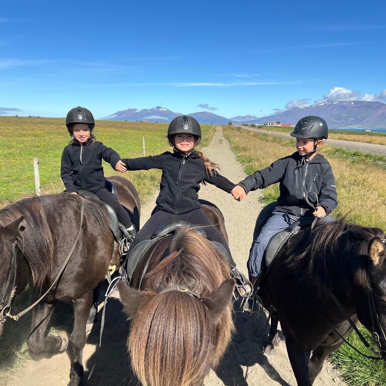 Akureyriridingtours