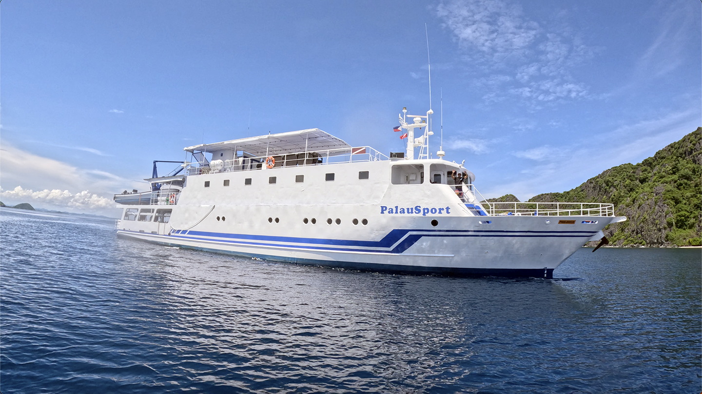 MY PalauSport