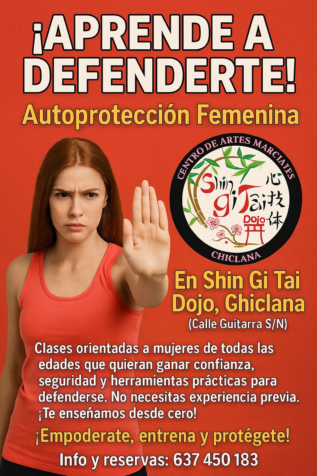 shingitai dojo chiclana