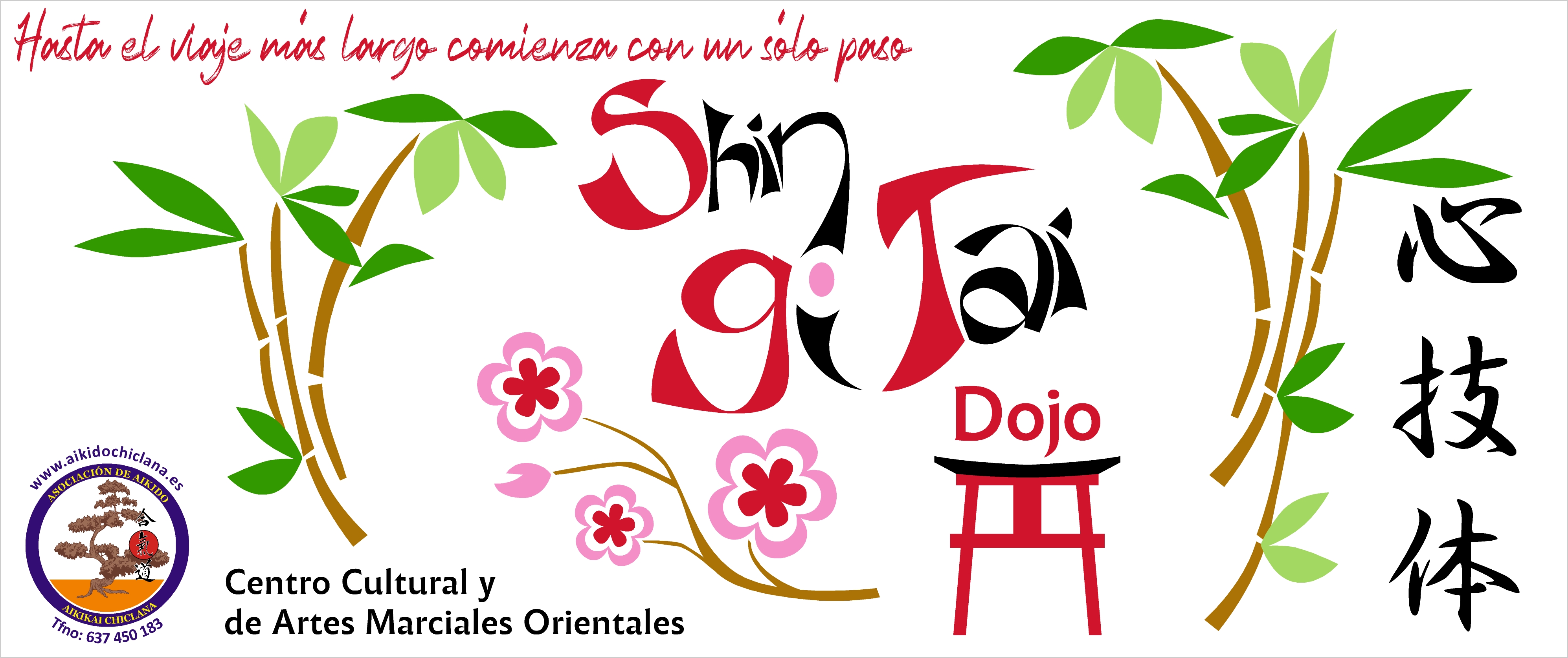 shingitai dojo chiclana