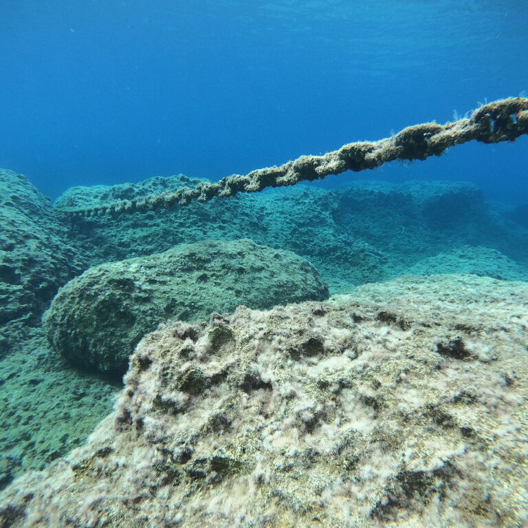 Coral Bay Divers