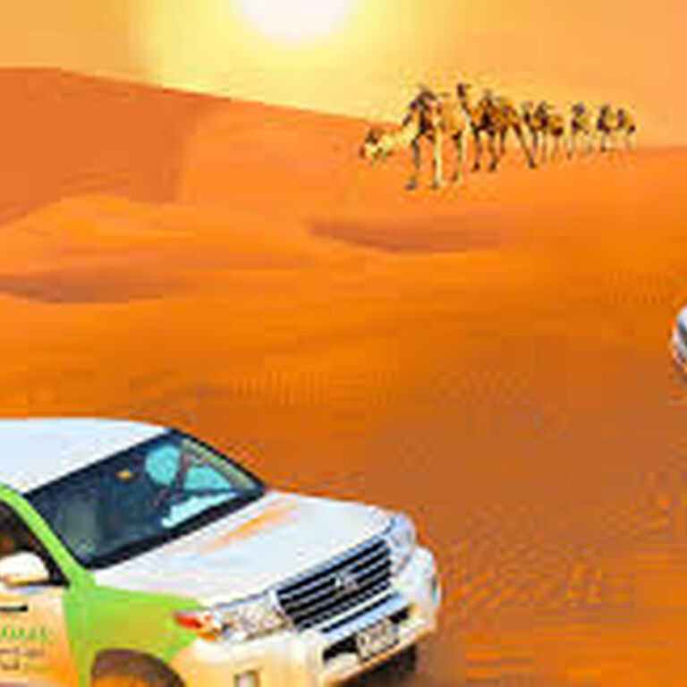 Ammar Tours