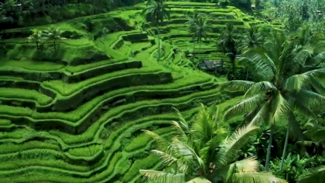 BEST BALI THINGS TO DO