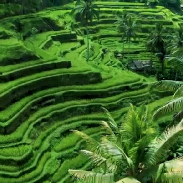 BEST BALI THINGS TO DO