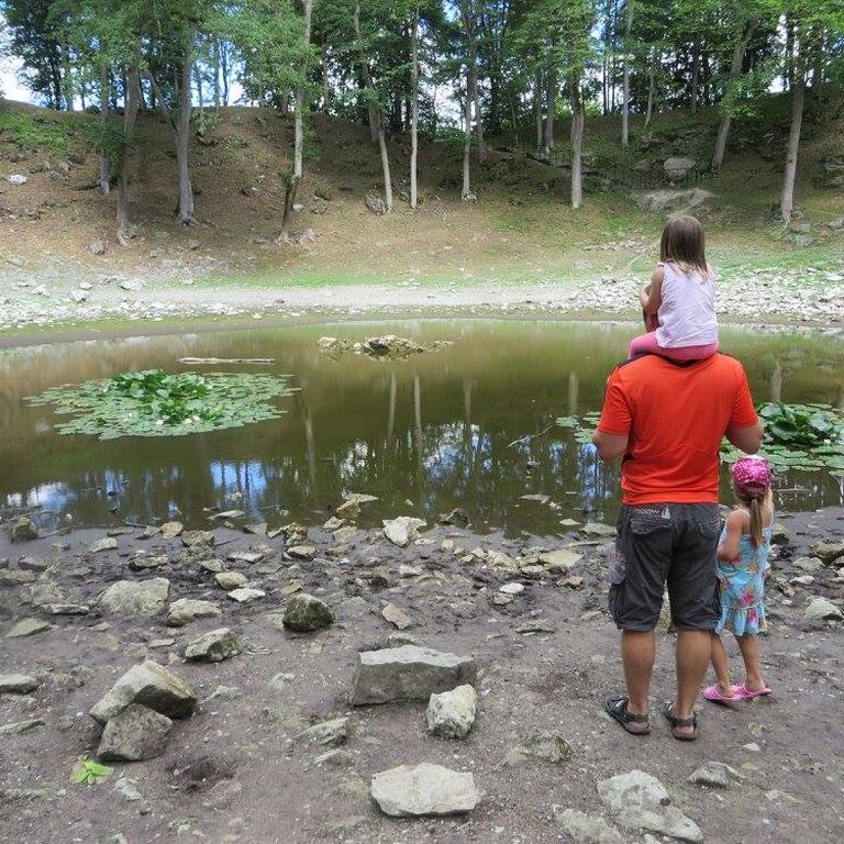 Guided Saaremaa