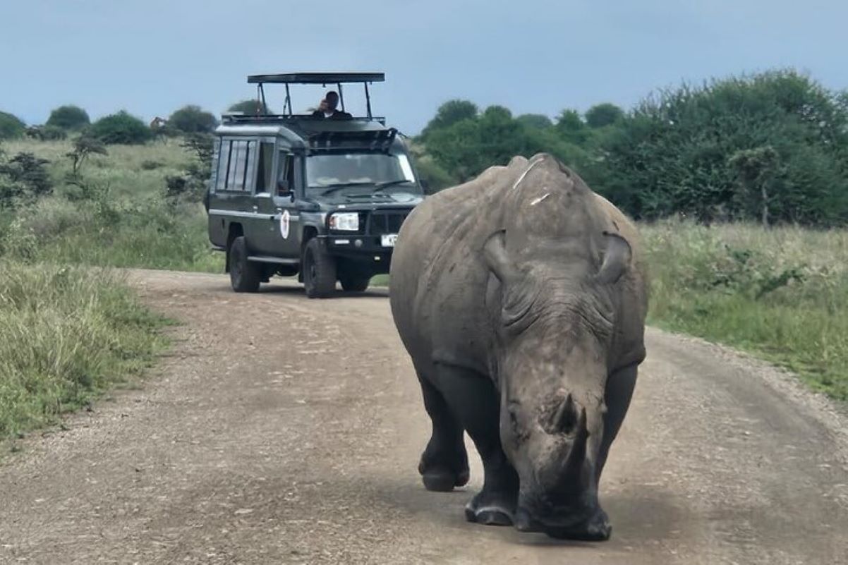 Kenya Safaris & Holidays