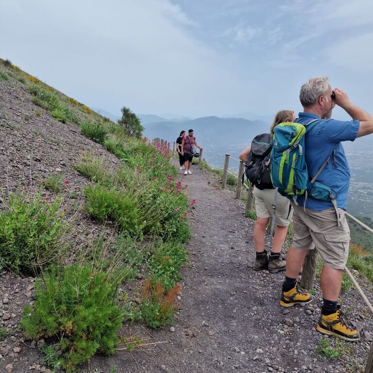VESUVIO DRIVE SRLS