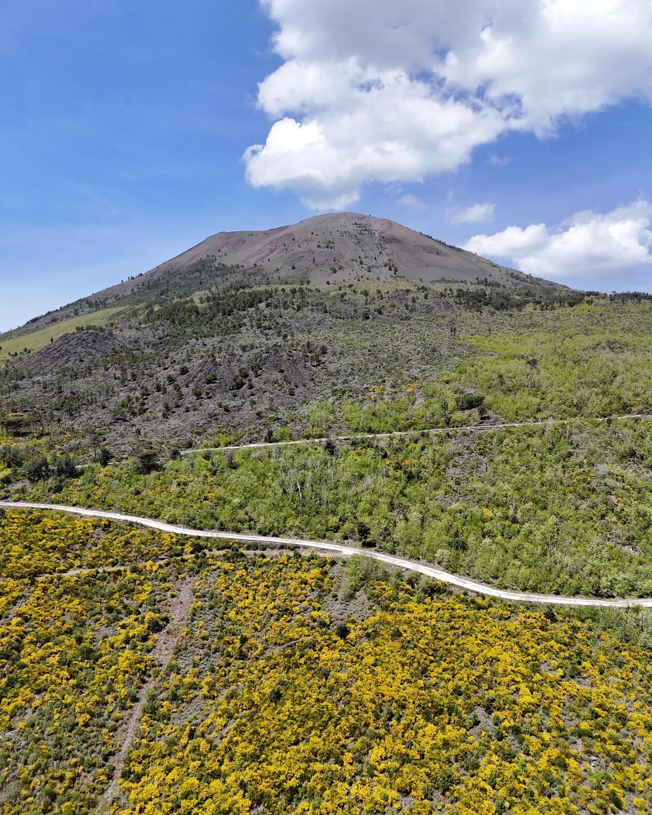 VESUVIO DRIVE SRLS