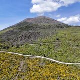 VESUVIO DRIVE SRLS